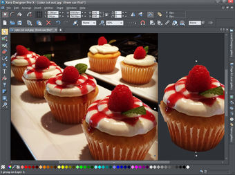 Obraz 1 dla Xara Designer Pro