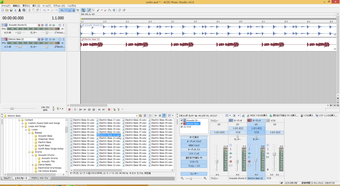 Obraz 0 dla ACID Music Studio 10
