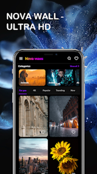 Bild 0 für Nova Wall - Ultra HD