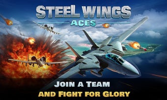 Image 0 pour Steel Wings: Aces
