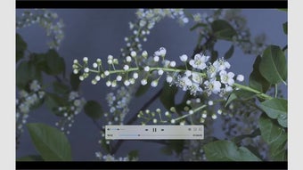 Image 0 pour HEVC Video Player Pro