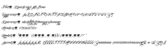 Lina Scriptの画像0