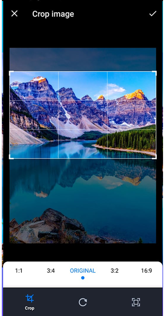 Obraz 0 dla Reverse image search