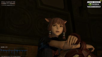 Image 2 pour Final Fantasy XIV
