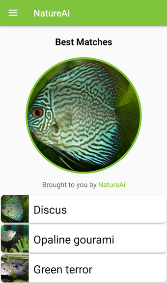 Fish Identification - Fish Scanner