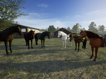Image 0 pour That Horse Game - Riding …