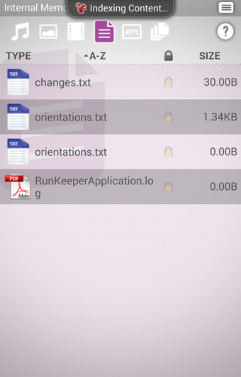 SanDisk Memory Zone的第6张图片