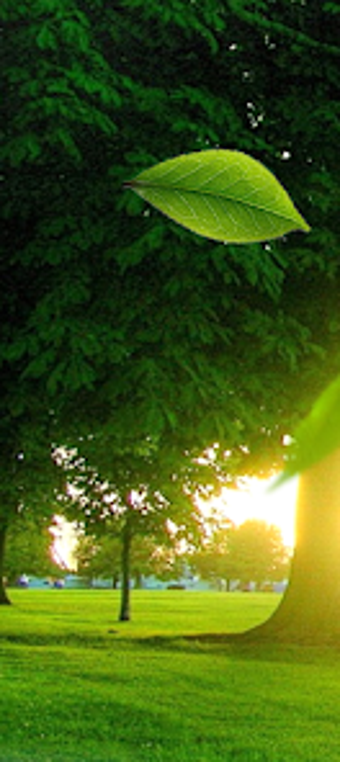 Bild 0 für CellFrenzy