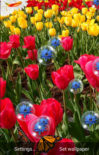 Spring Flowers Live Wallp…的第0张图片