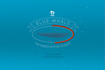 Obraz 1 dla Blue whale VR