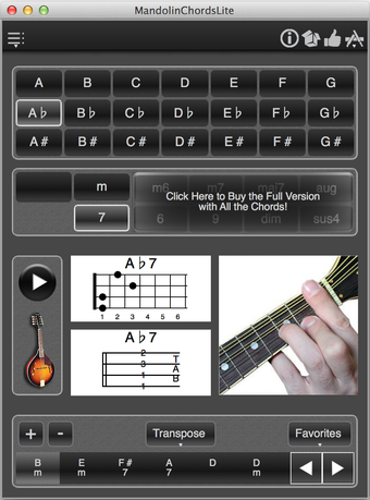 Image 0 pour MandolinChordsLite