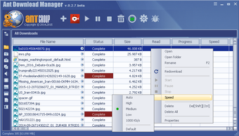 Ant Download Manager and …的第7张图片