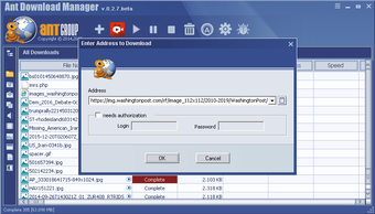 Image 0 pour Ant Download Manager and …