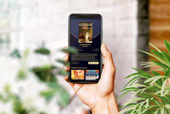 Virasat-Punjabi Audiobook…的第0张图片