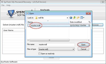 Bild 6 für SQL Password Recovery Fre…