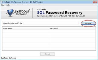 Bild 5 für SQL Password Recovery Fre…