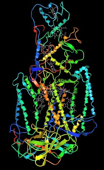 Imagen 5 para ArgusLab