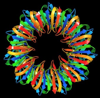 Image 6 for ArgusLab