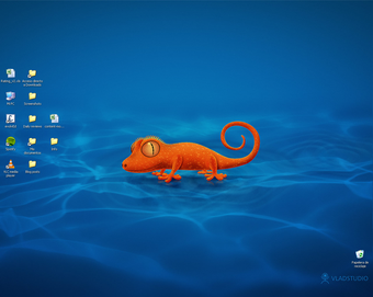 Image 0 pour Taskbar Eliminator