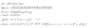 Obraz 0 dla Hello Bride Script