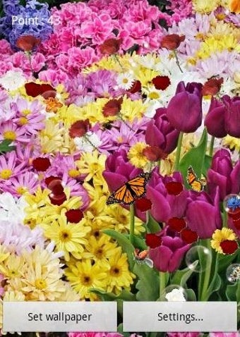 Obraz 0 dla Flowers Live Wallpaper