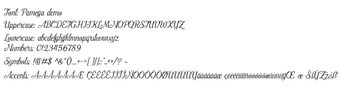 Pamega Scriptの画像0