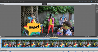 Image 8 for Adobe Premiere Elements