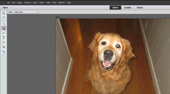 Image 3 for Adobe Premiere Elements