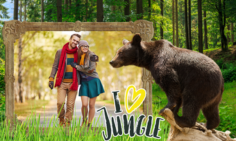 Jungle Photo Frames的第0张图片