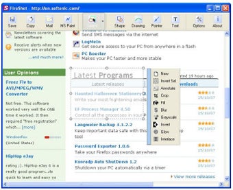 Download FireShot for Windows