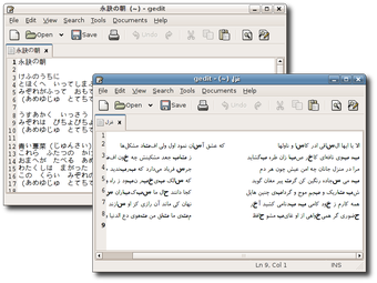 Immagine 3 per gedit