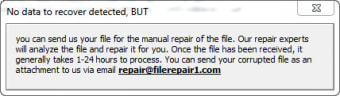 File Repair