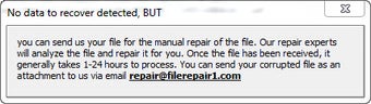 Immagine 0 per File Repair