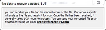 File Repair