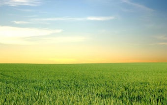 Picture Puzzle: Fields的第0张图片