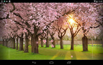 Obraz 0 dla com.orchid.yinghua