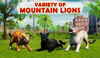 Imagen 0 para Mountain Lion: Wild Couga…