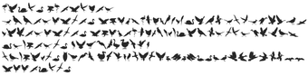 Obraz 0 dla Birds of a Feather