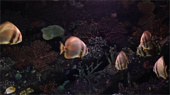 Imagen 0 para Aquarium Screensaver PRO