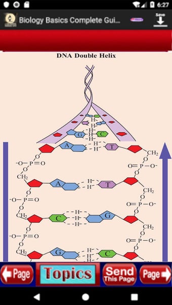 Immagine 0 per Biology Basic Study Notes