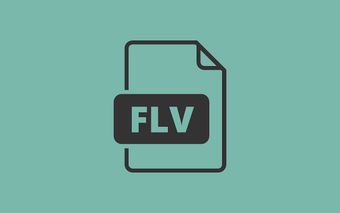 Bild 0 für FLV Player for Chrome