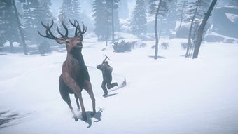 Bild 10 für Rust