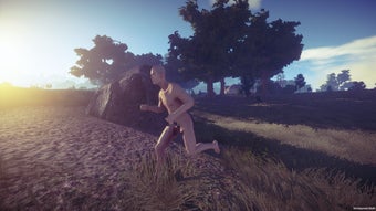 Image 7 pour Rust