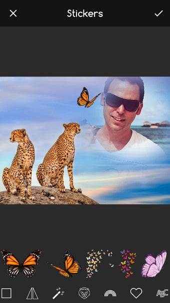 Immagine 0 per Animal Photo Editor App
