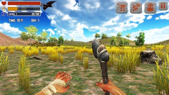 Obraz 0 dla Island Is Home Survival S…