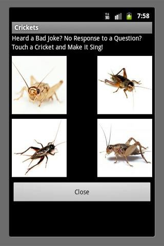 Immagine 0 per Bad Joke Crickets Sound