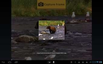 Image 0 pour Video Fx Video Maker and …