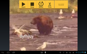 Imagen 2 para Video Fx Video Maker and …