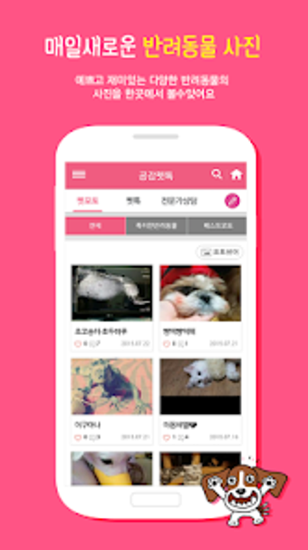 Bild 0 für 노트펫notepet 반려동물 포털 - 강아지고…