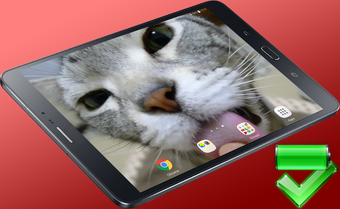Kitty Licks Screen的第0张图片